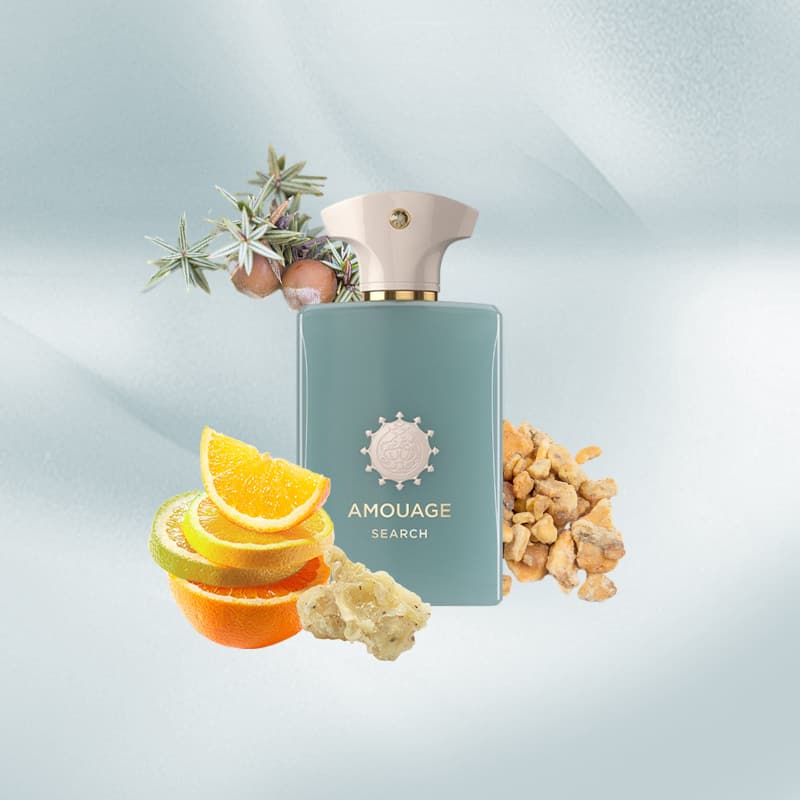 Amouage search