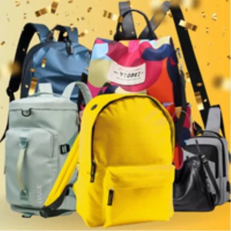 6 الحقائب     Sacs