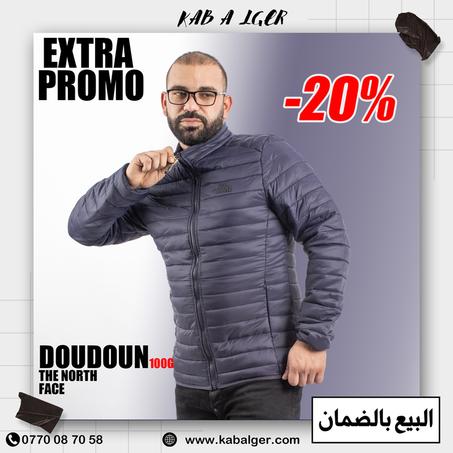 Doudoune North face 100g