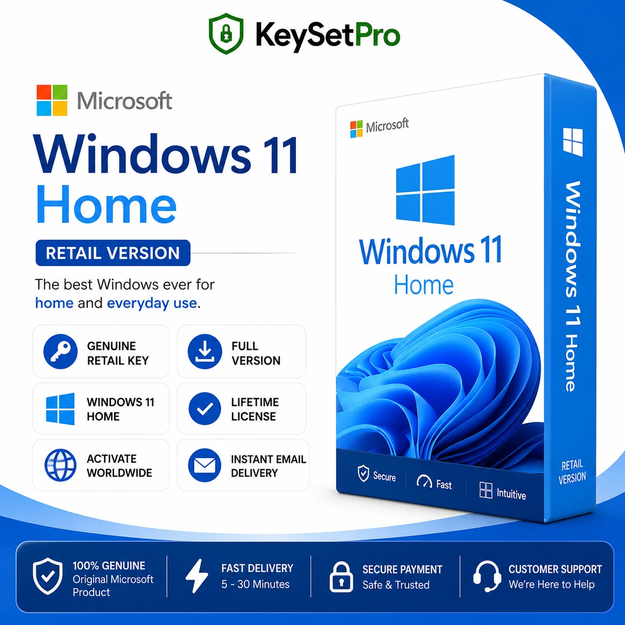 Microsoft Windows 11 Home (Retail)