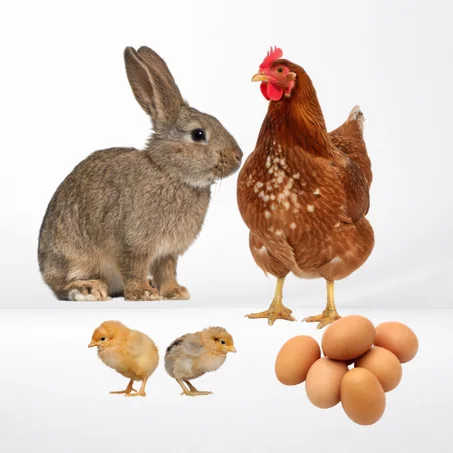 منتجات فلاحية بلدية