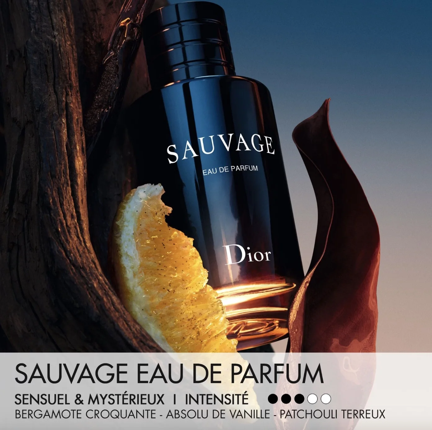 Dior SAUVAGE Eau de parfum pour homme