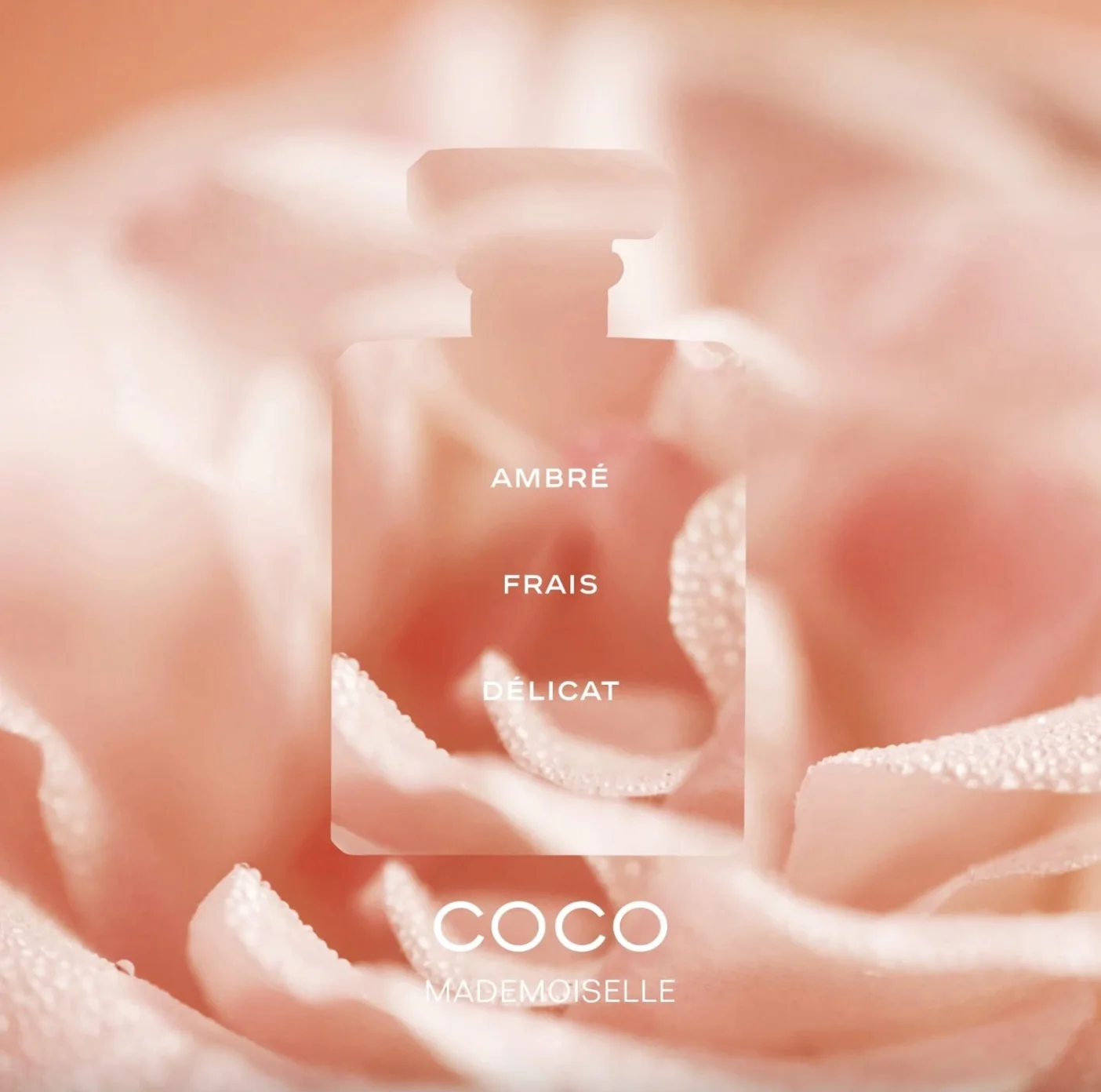 COCO MADEMOISELLE L