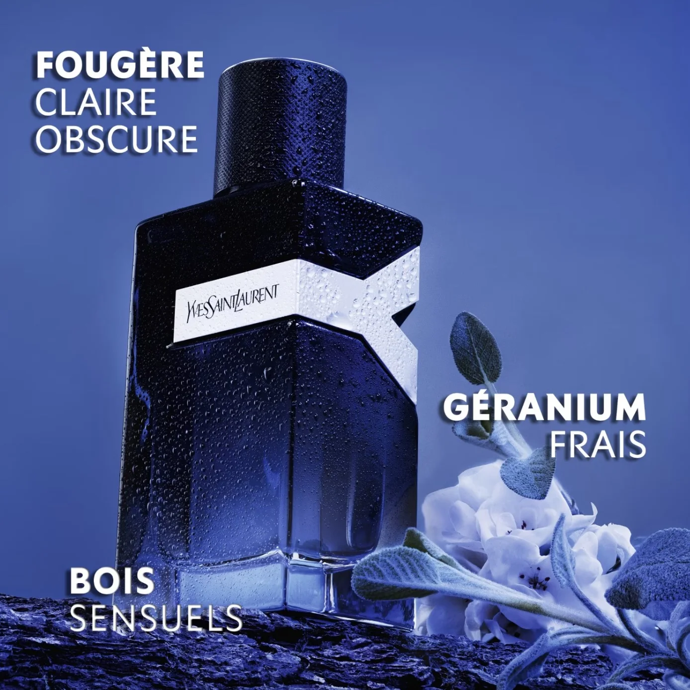 Y Yves Saint Laurent Eau de Parfum pour Homme