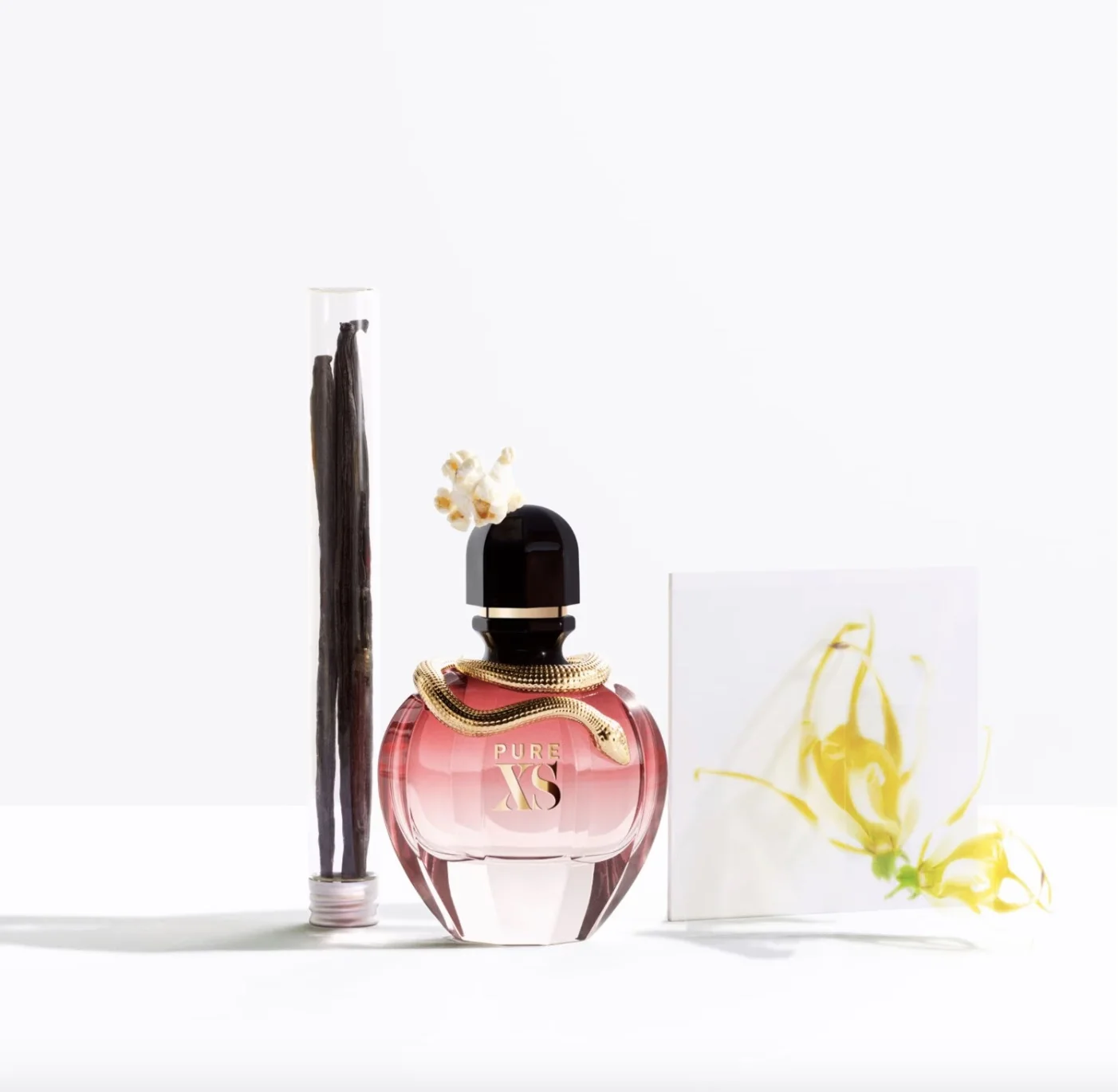 Pure XS For Her Eau de parfum By RABANNE FRAGRANCES
