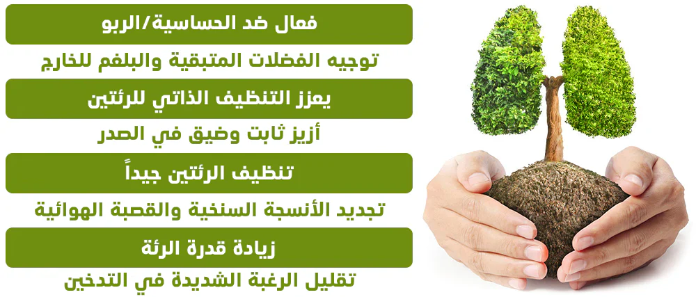 Natural Lung And Respiratory Support Spray