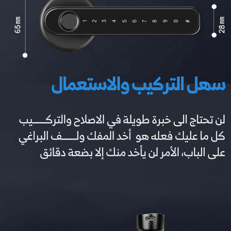 Electric Door Handle