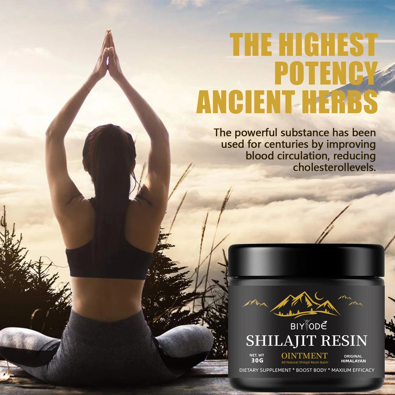 Shilajit resin