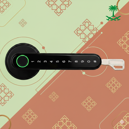 قفل باب كهربائي ذكي