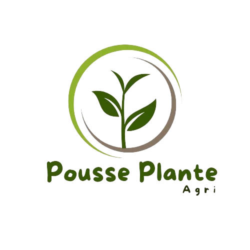 إنشاء هوية بصرية