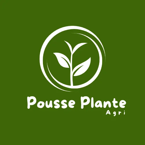 إنشاء هوية بصرية