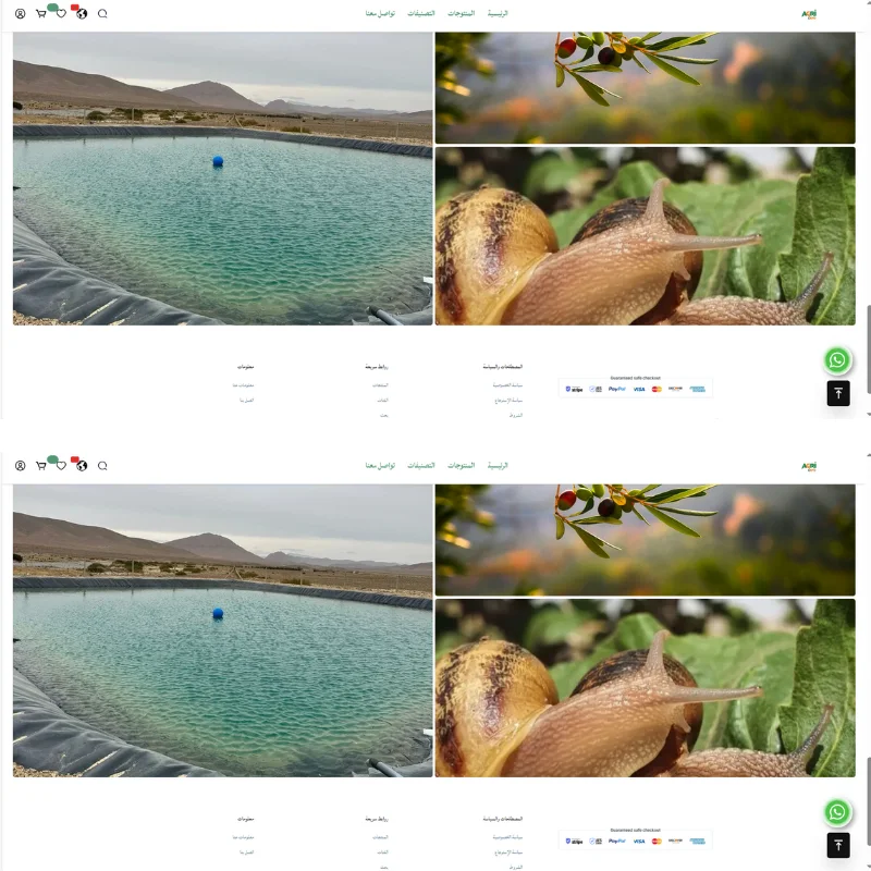 إنشاء متجر إلكتروني