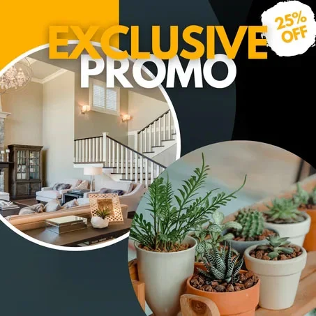 الحديقة و المنزل