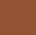 BROWN/ CAMEL