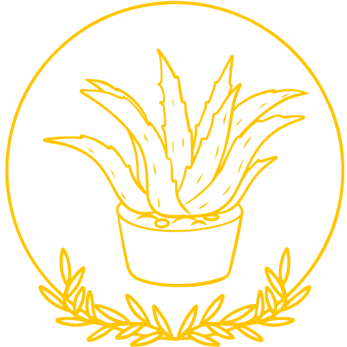 التغذية الأساسية