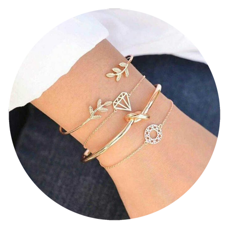 الاكسسوارات