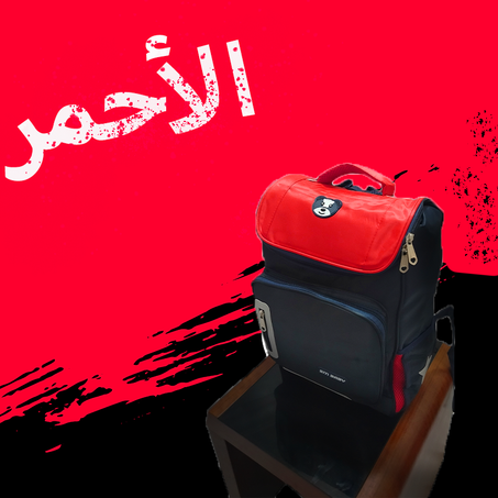 حقيبة الباندا