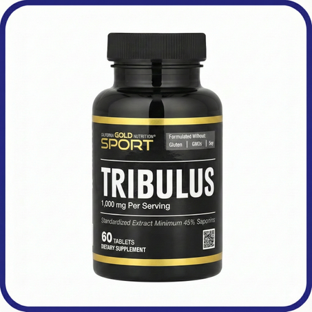 التصنيف الأول