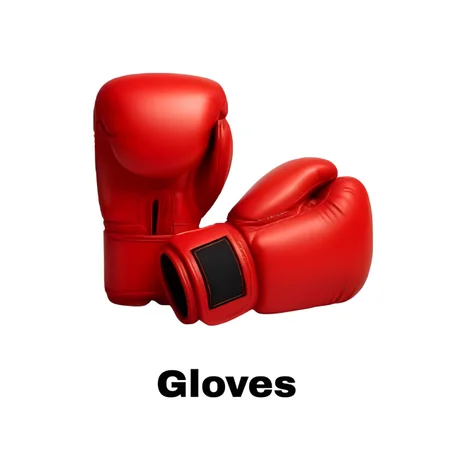 BOXING GLOVES