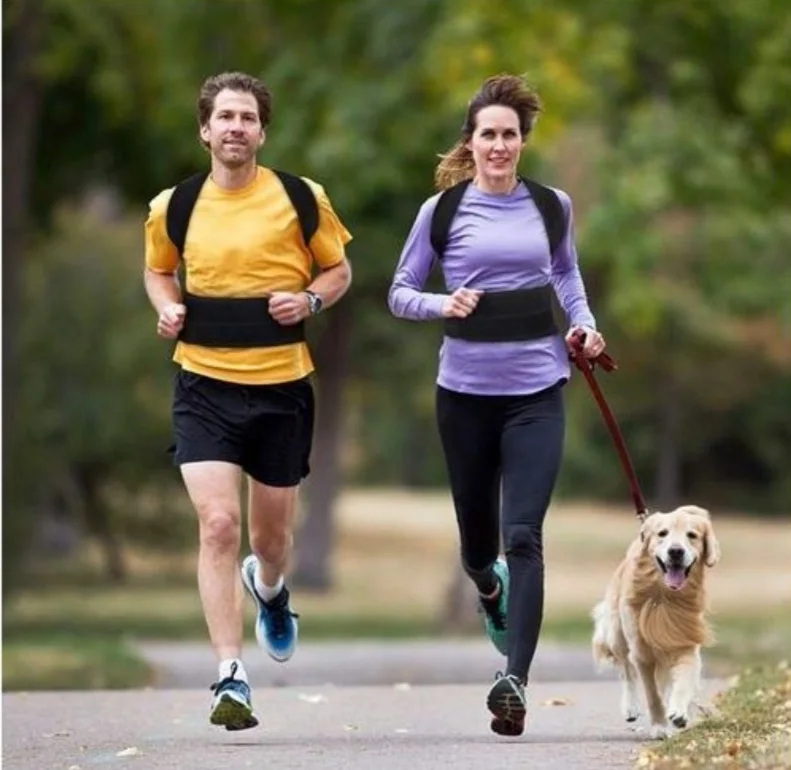 دعامة الظهر الاحترافية