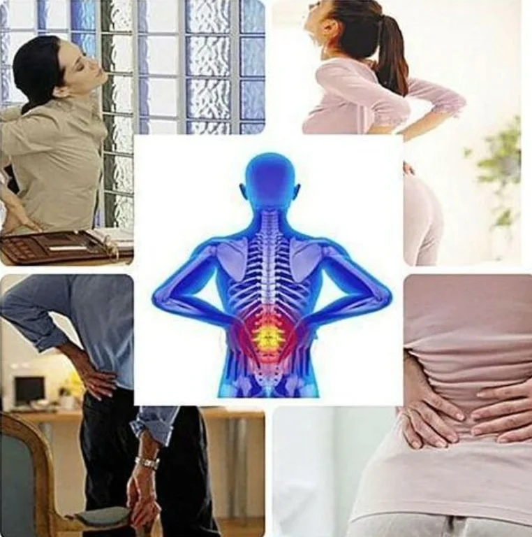 دعامة الظهر الاحترافية