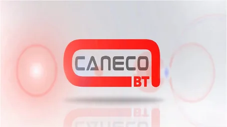 Formation de Caneco BT Pour les débutants