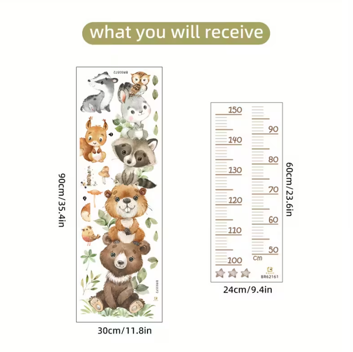 Règle de hauteur avec animaux