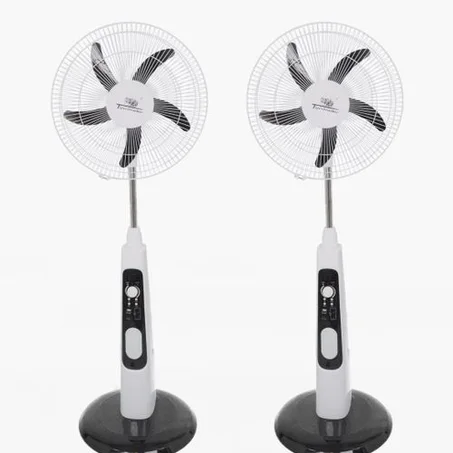 Double Ventilateur sur pied rechargeable à 5 pales 16 pouces AC/DC 12V avec batterie
