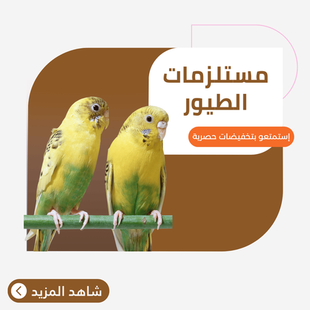 مستلزمات الطيور