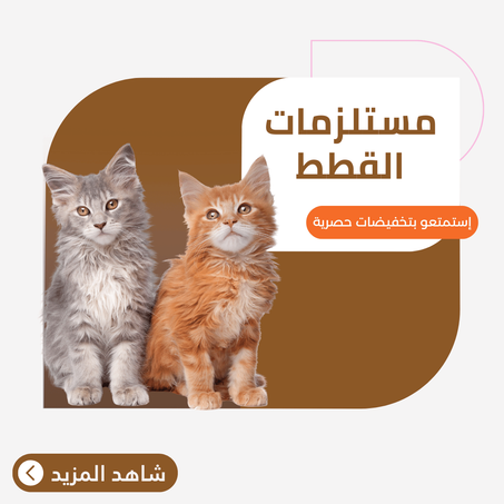 مستلزمات القطط