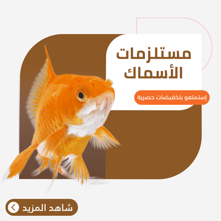 مستلزمات الأسماك