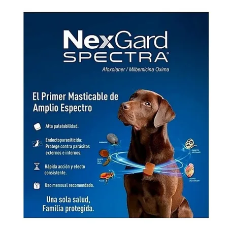 إذا كنتي كتسنا الأفضل لصديقك الوفي 🐾، NexGard Spectra هو الحل المثالي.