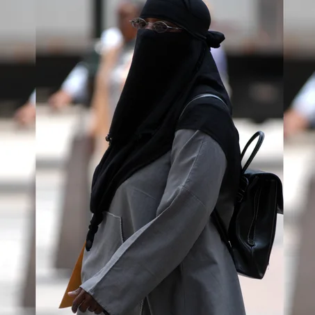 نــــــــــقاب ملاكــــــــــــــــي