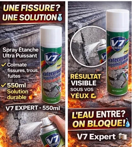 Spray Réparateur de Fuites d'Eau 550ml - Noir