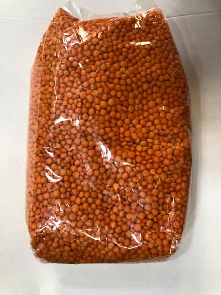 العدس الأحمر