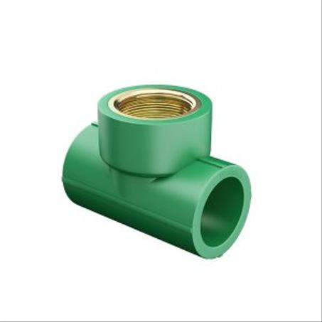 TEE CROIX ET TEE SIMPLE FEMELLE