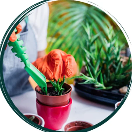 المنزل والحديقة - HOME AND GARDEN