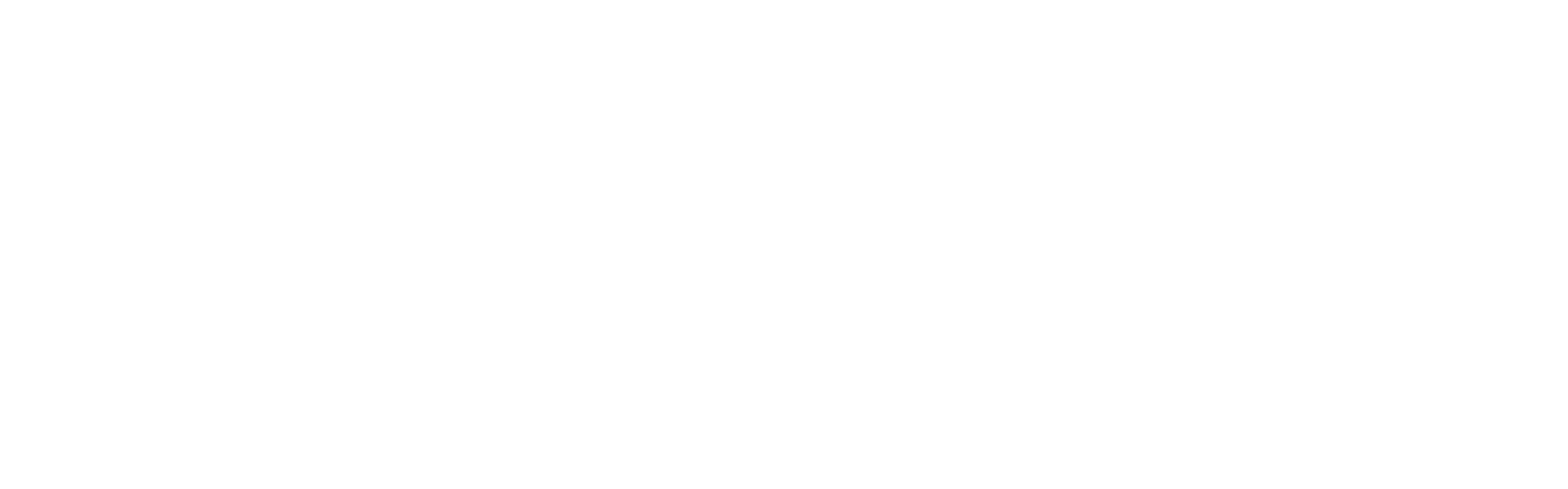 Twin-stor
