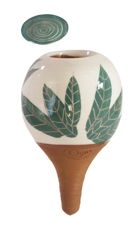 OYAS a planté pour les plantes