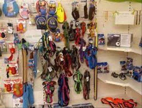 مستلزمات الحيوانات الأليفة