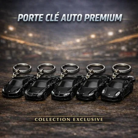 PORTE CLE AUTO PREMIUM
