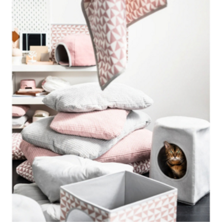 مستلزمات الحيوانات الأليفة