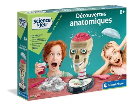 Découvertes Anatomiques