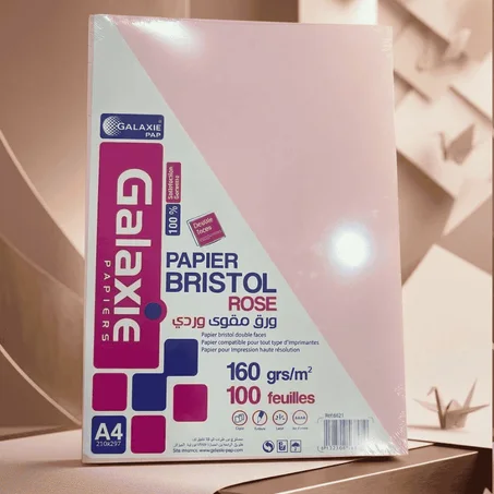 BRISTOL COULEUR 160G 6821