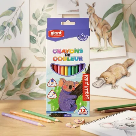 CRAYON COULEUR 12 GM TRIANGULAIRE G-2422