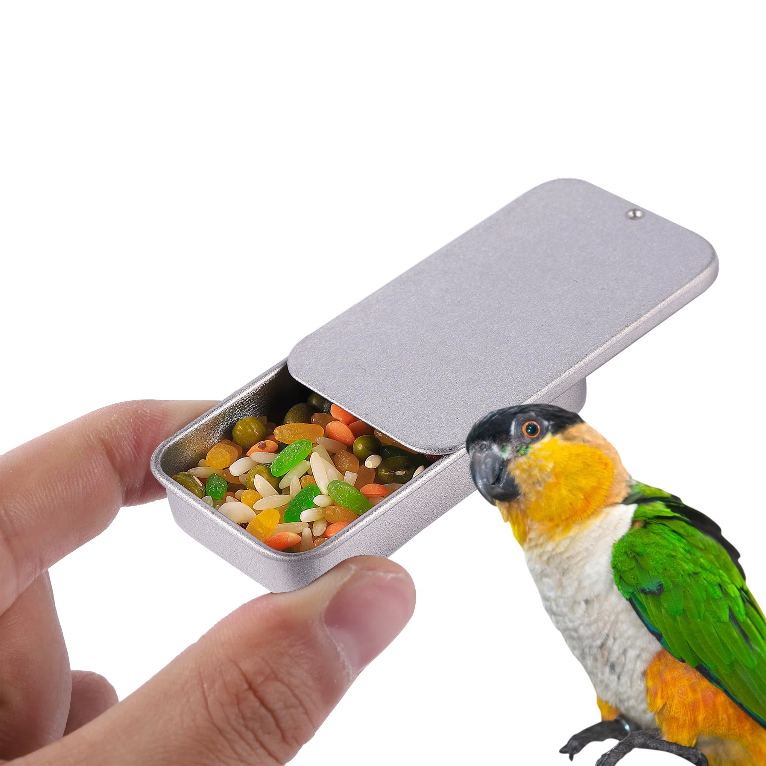 Piece Parrot Feeding Tank