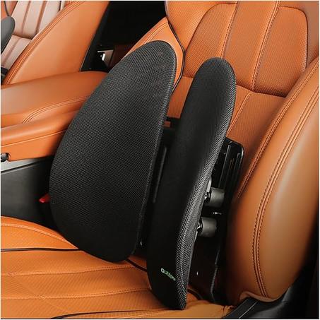 دعامة الظهر