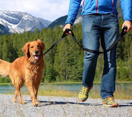 Dog Leash, Rope Dog Leash with Soft Padded Handle