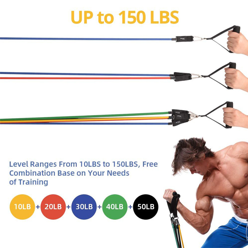 Pack Barre fix+ Elastique de Resistance