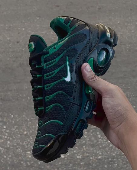 TN Css